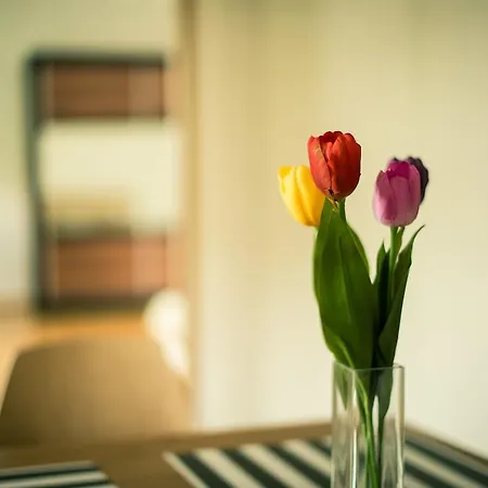 Napoca Apartament Lux Baritiu Apartment Cluj-Napoca